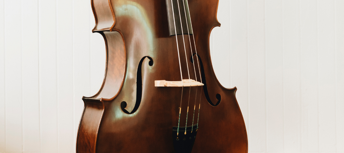 A Beginner's Guide To Learning The Double Bass | SImply For Strings ...