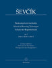 Sevcik, Op. 2 Part 2 for Violin (Barenreiter)