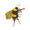 Sticker - Bee playing Violin