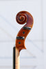 Makers Model - Il Cannone Violin 4/4