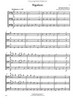 Progressive Trios for Double Bass (Fischer)