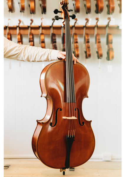 Allegro Cello 7/8