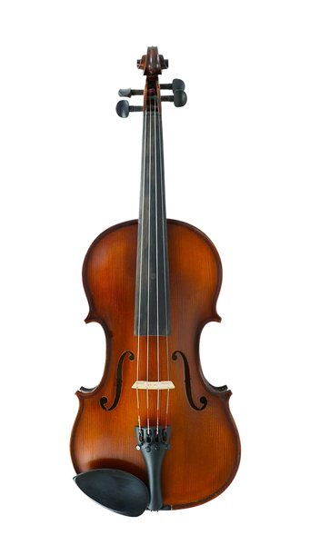 Gliga III Violin Outfit 1/10