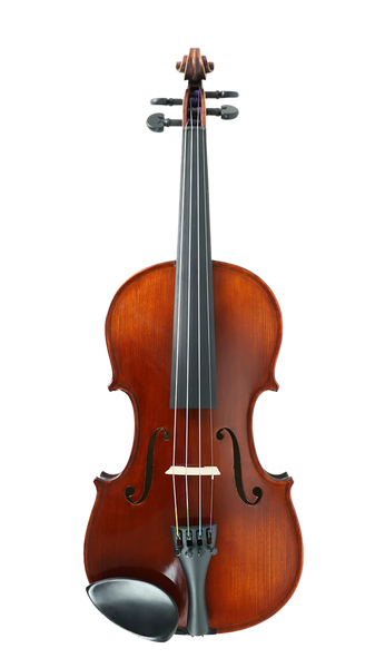 Gliga Vasile Professional Series Violin Dark Antique Model 4/4