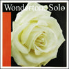 Pirastro Wondertone Solo Violin String Set 4/4