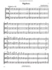 Progressive Trios for Double Bass (Fischer)