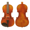 Torelli Violin Outfit 4/4