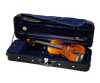 Torelli Violin Outfit 4/4